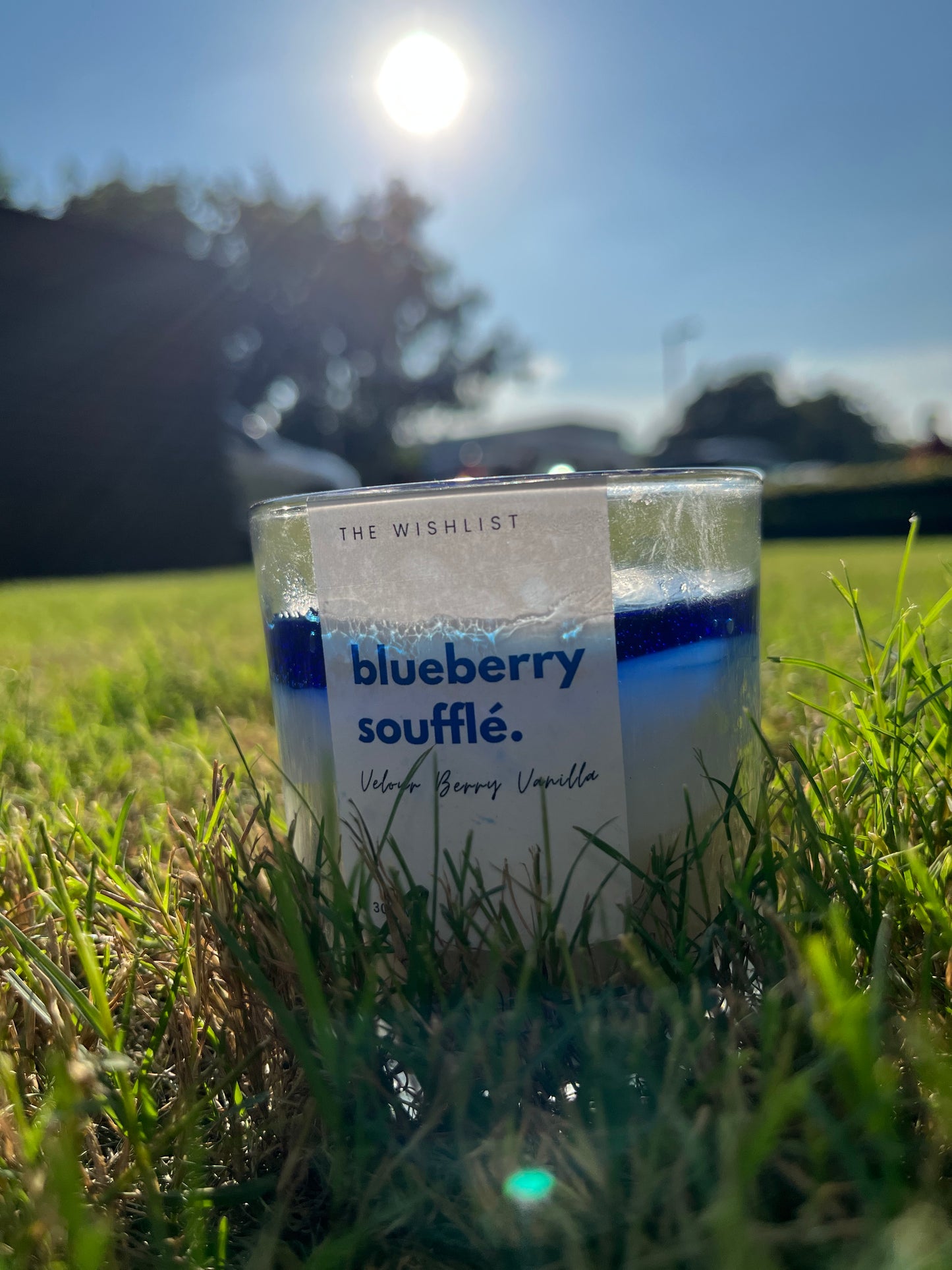 Blueberry Soufflé Luxe Candle