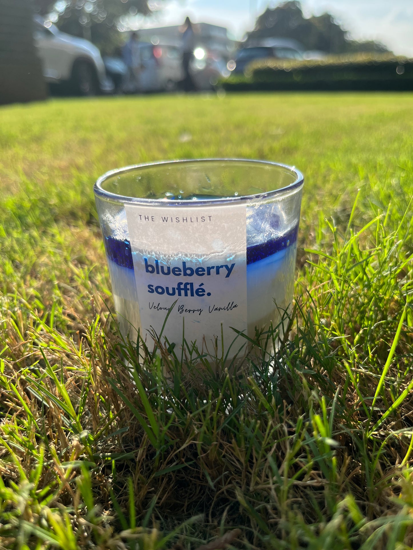 Blueberry Soufflé Luxe Candle
